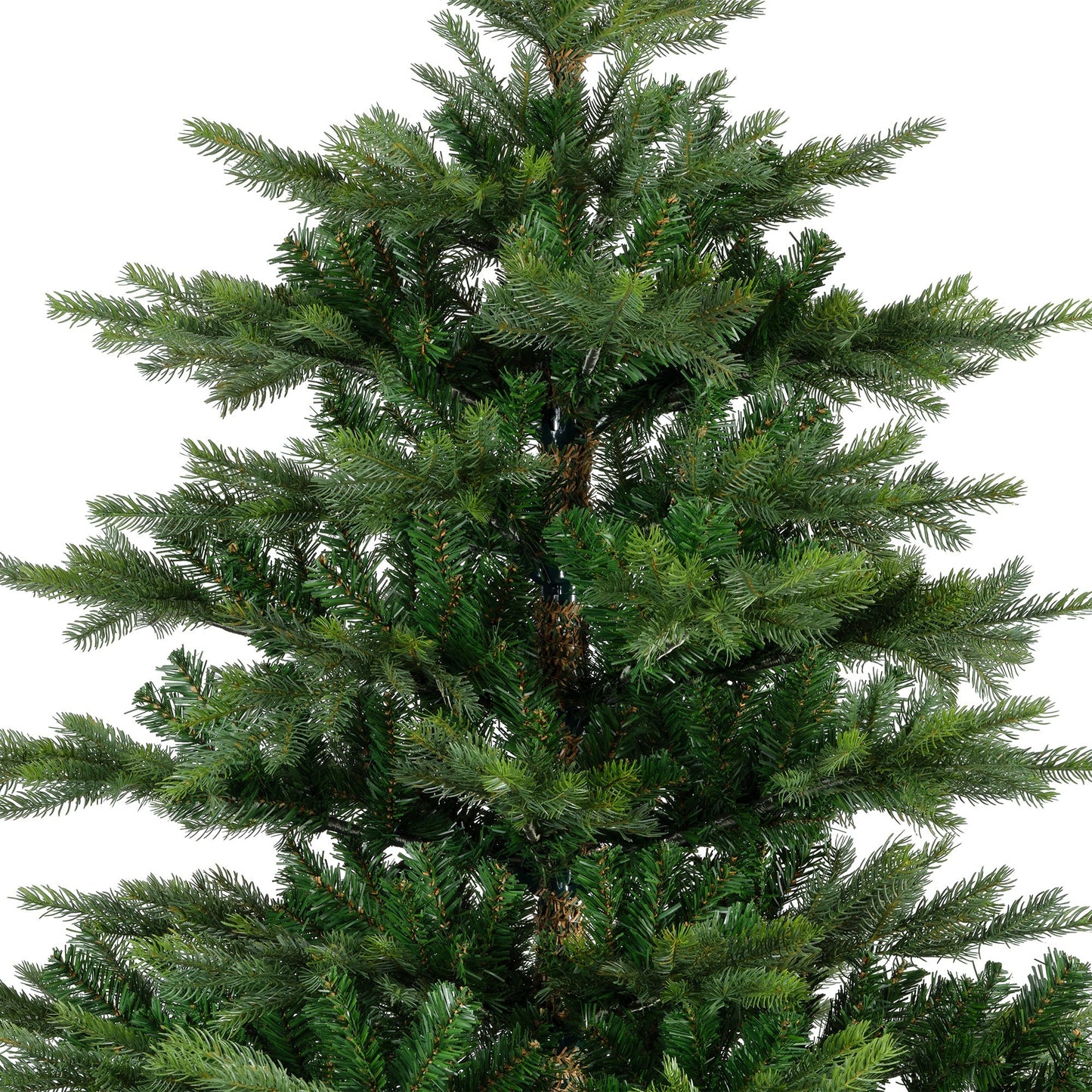 Grandis Fir Hinge Tree Grn 6ft