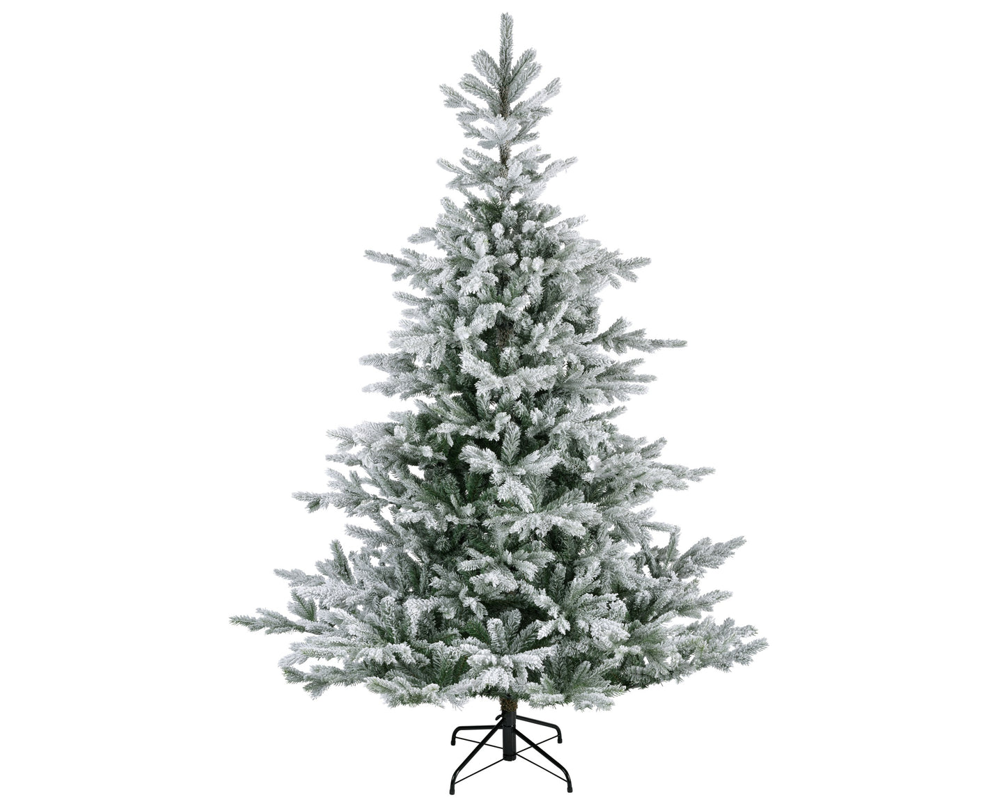 Grandis Fir Snwy Hnge Tree 10ft