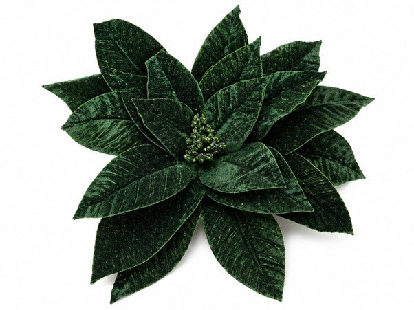 HB Jumbo Velvet Poinsettia on Stem Hunter Grn