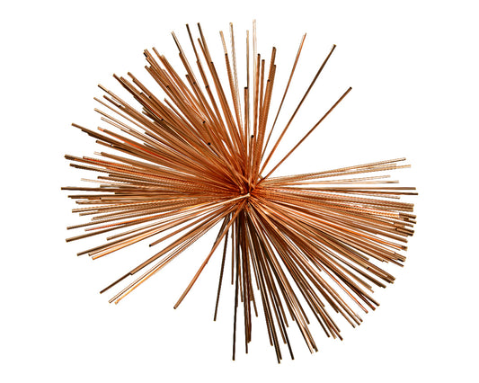 Star Pet Brandy Dia45Cm