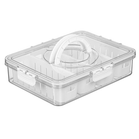 Storage Container wMulti-Compartment