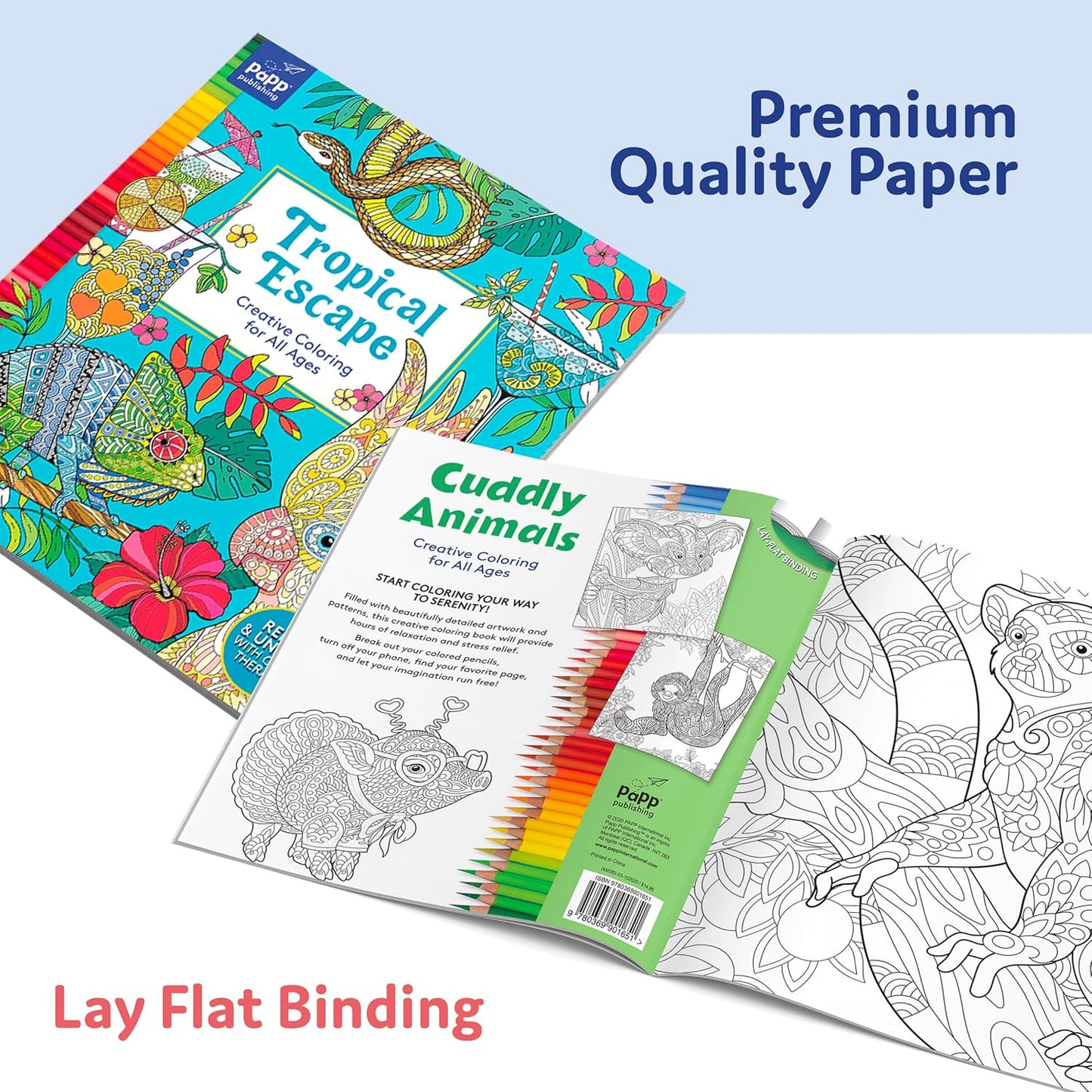 PP Creative Color Bk 88pg Asst