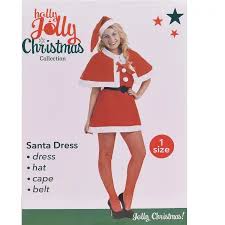HJ Womens Santa Outfit 4pc