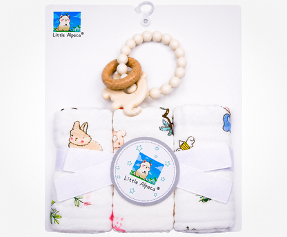 Baby Washcloth Teether Gift Set Asst.