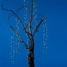 Tree Cascade Blk/Soft Multi
