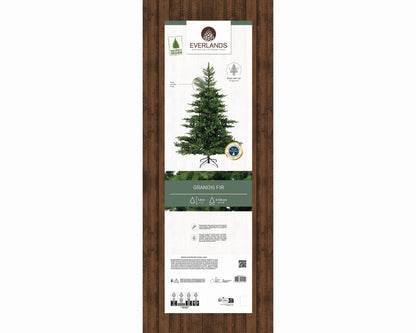 Grandis Fir Hinge Tree Grn 6ft