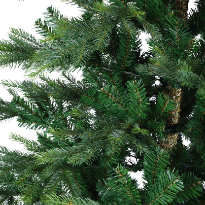 Grandis Fir Hinge Tree Grn 10ft