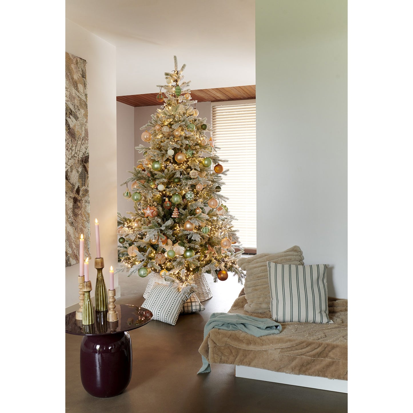 Grandis Fir Snwy HngeTree 6ft