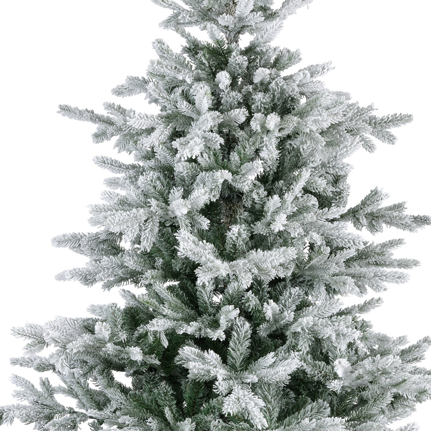 Grandis Fir Snwy HngeTree 6ft