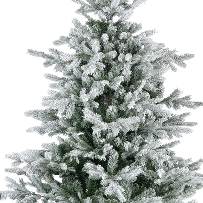Grandis Fir Snwy Hnge Tree 7ft