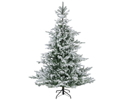 Grandis Fir Snwy HngeTree 8ft