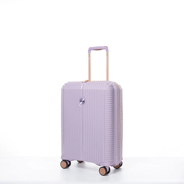 Rom Hard Shell Lugg 20in Lavender – Excellent Stores