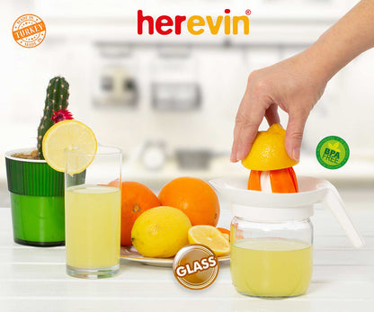 Glass Citrus Squeezer 425ml Asst