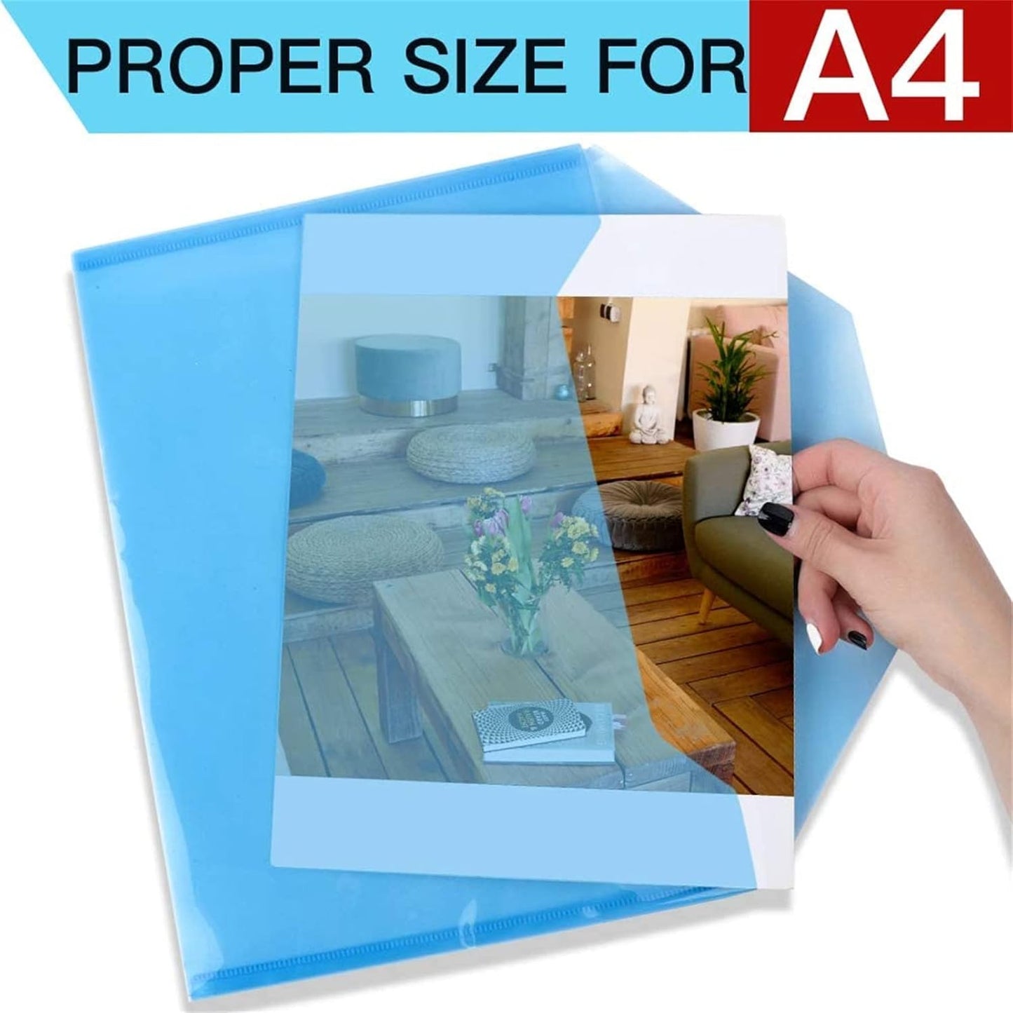 Trans File Folder w/Snap Button Asst