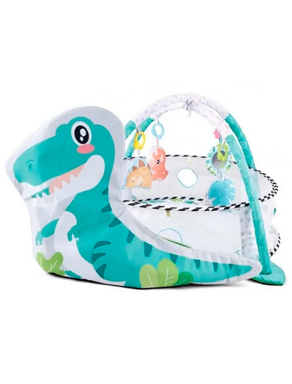 Baby Activity Play Gym Set