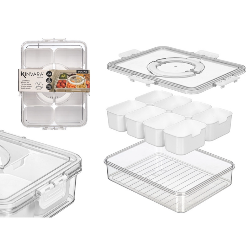 Storage Container wMulti-Compartment