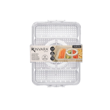 Storage Container wMulti-Compartment