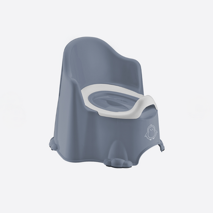 Comfort Potty Chair asst clrs