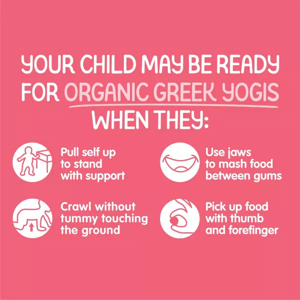 Greek Yogis Strawberry and Banana Baby Snacks 1oz