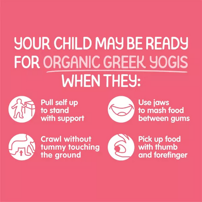 Greek Yogis Strawberry and Banana Baby Snacks 1oz