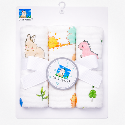 Baby Washcloth Teether Gift Set Asst.