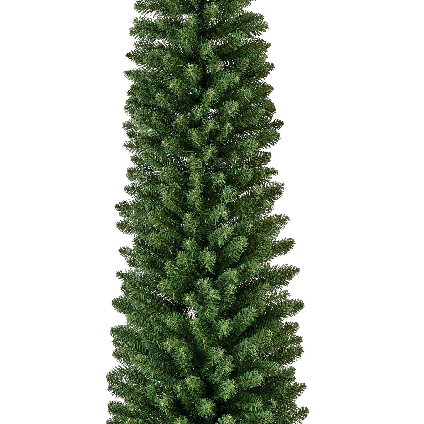 Pencil Pine Tree 6ft 430 Tips