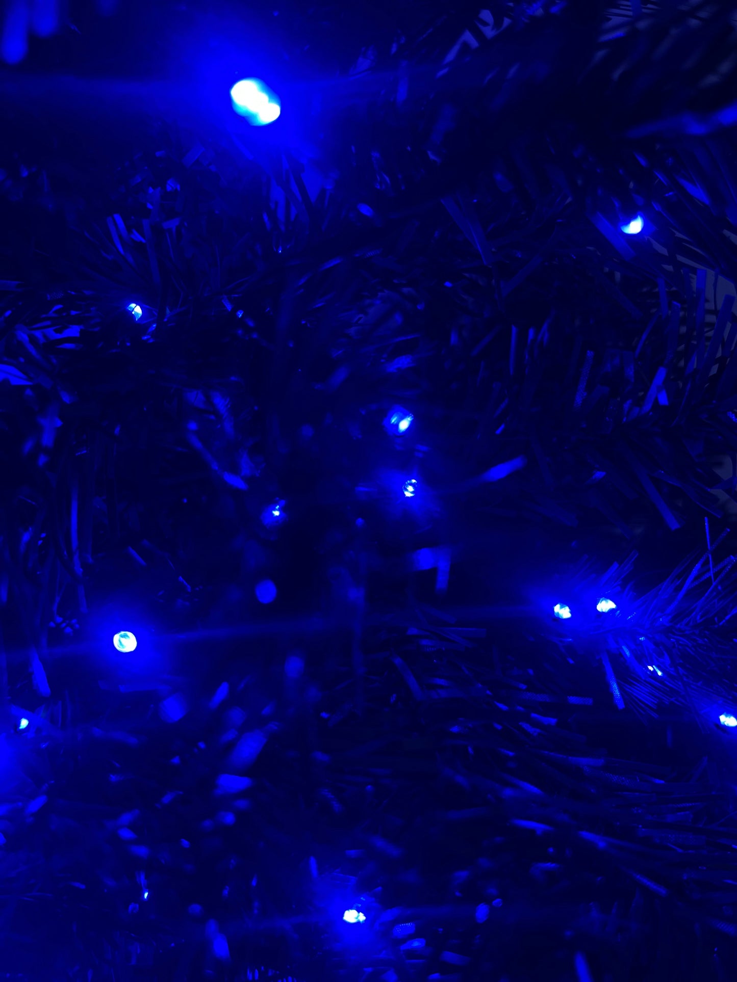 MC Connect LED Strng 750 Blue