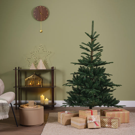 Kiens Christmas Tree 646T 6ft