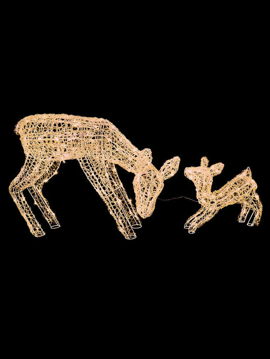 Prem LED S/Acrylic Deer 2pc