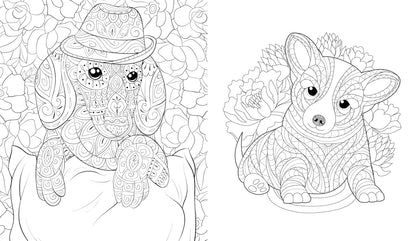 PP Creative Color Bk 88pg Asst