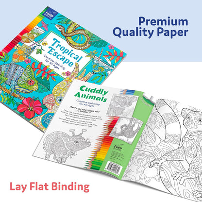 PP Creative Color Bk 88pg Asst